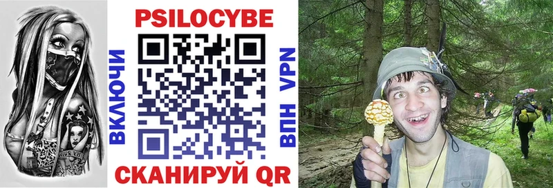 Псилоцибиновые грибы GOLDEN TEACHER  Белокуриха 